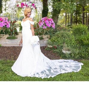 Wedding Gown & veil